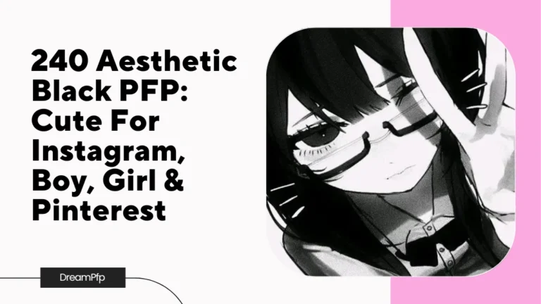 Aesthetic Black PFP