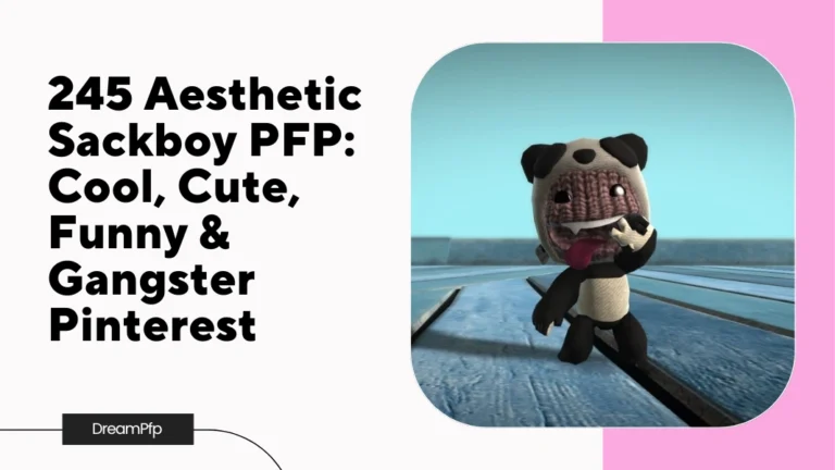 Aesthetic Sackboy PFP