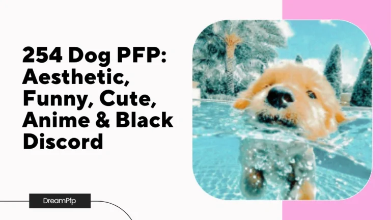 Dog PFP