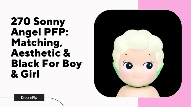 Sonny Angel PFP