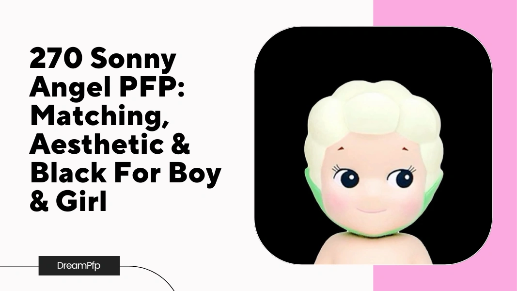 Sonny Angel PFP