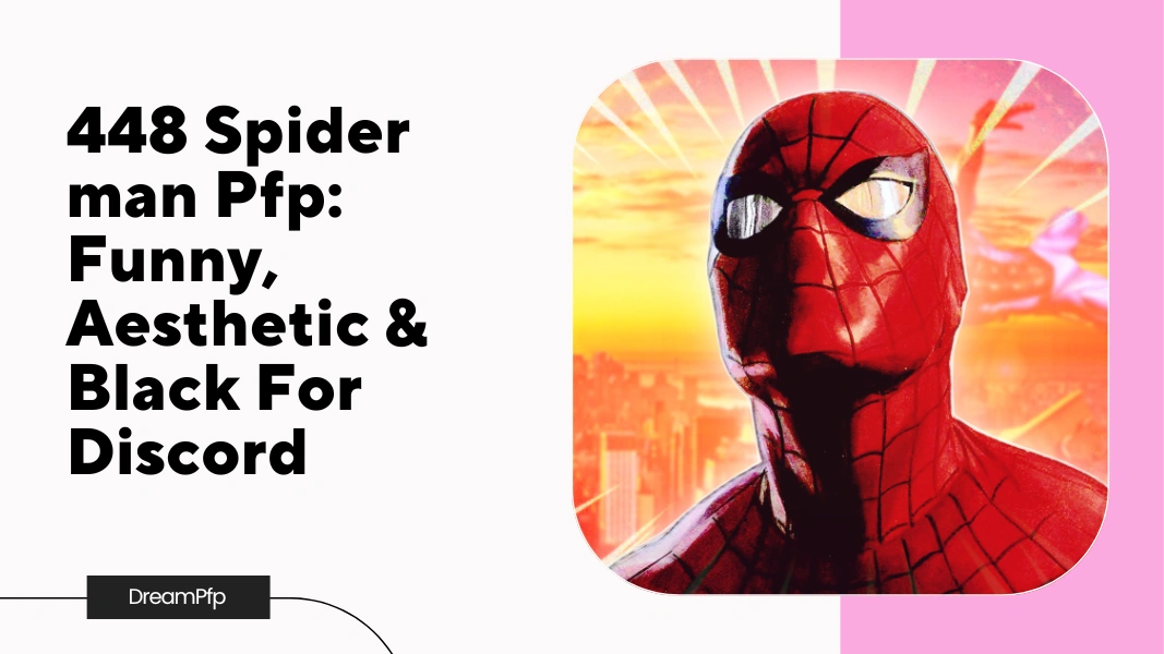 Spider man Pfp