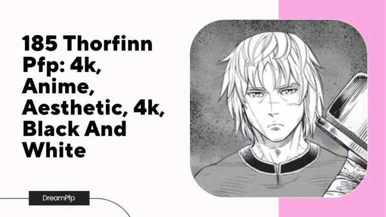 Thorfinn Pfp