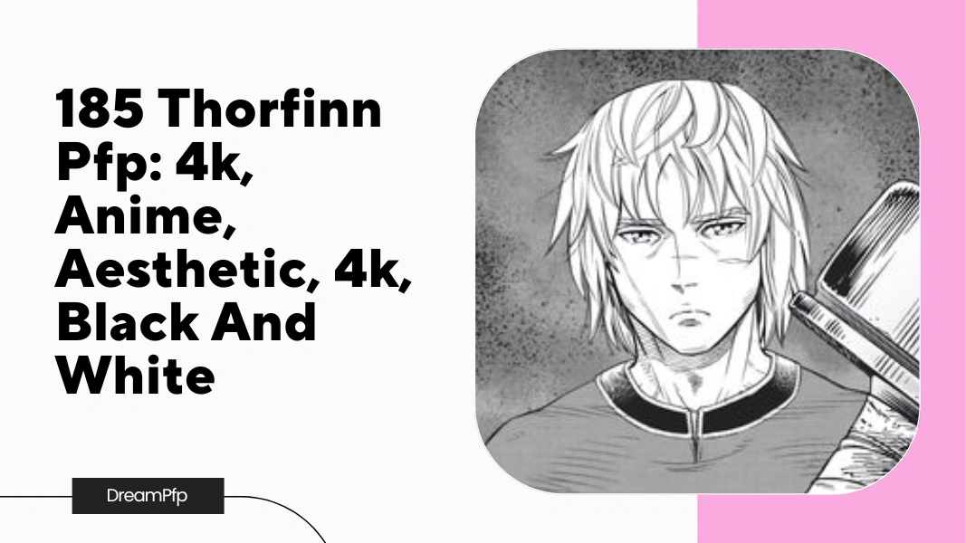 Thorfinn Pfp