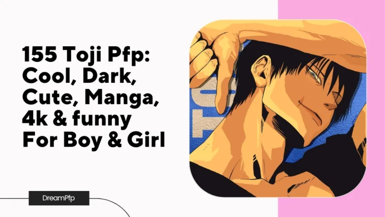 Toji Pfp
