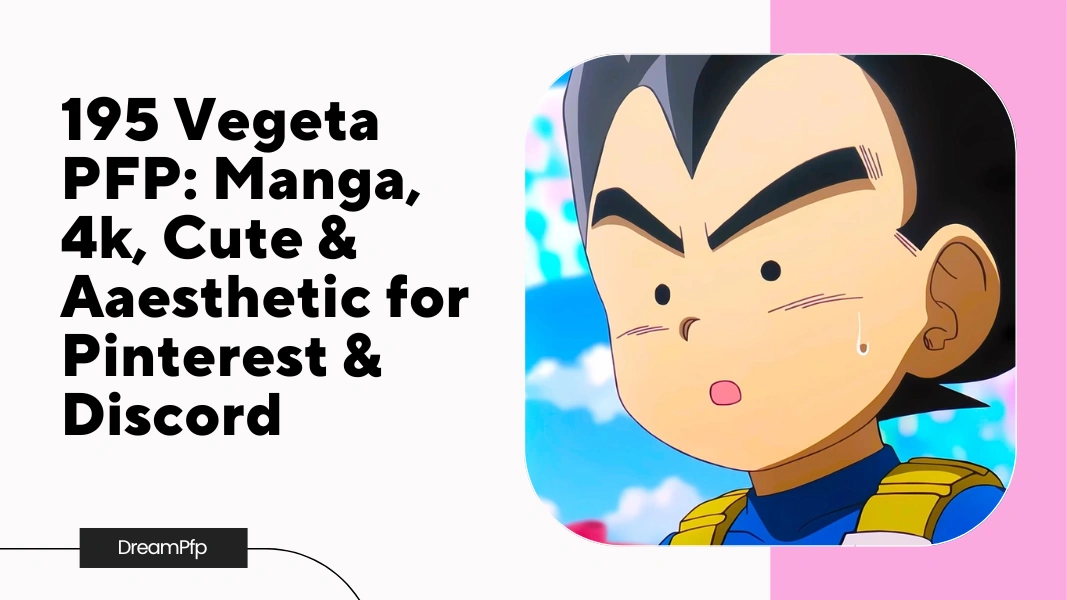 Vegeta PFP