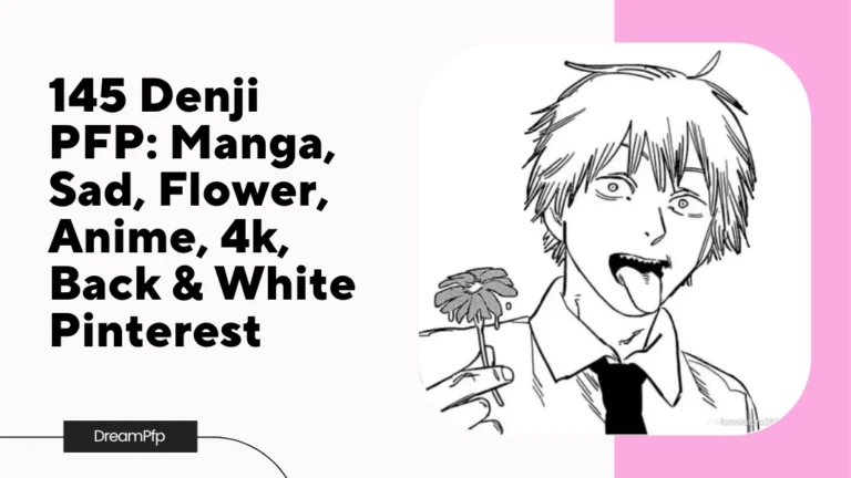 Denji PFP