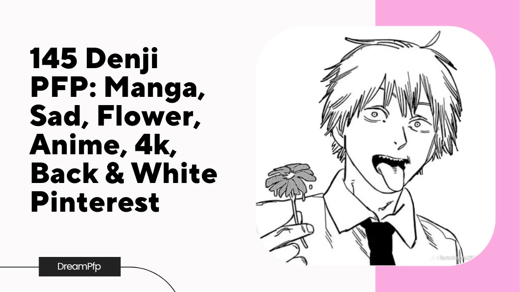Denji PFP