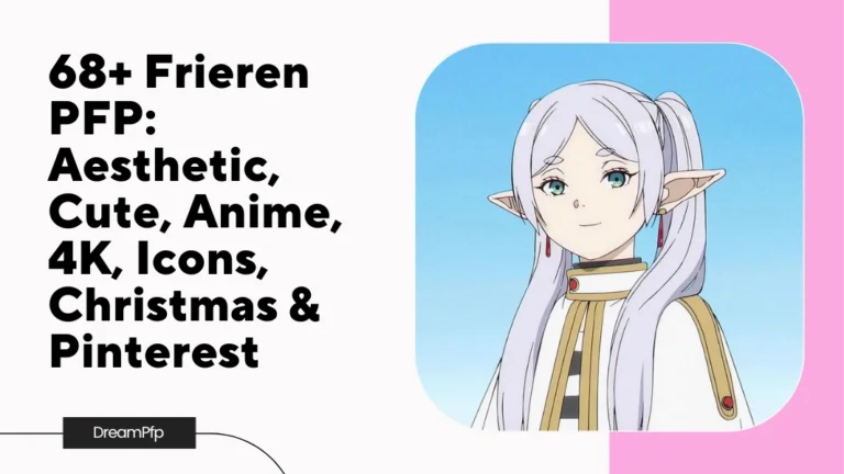 Frieren PFP