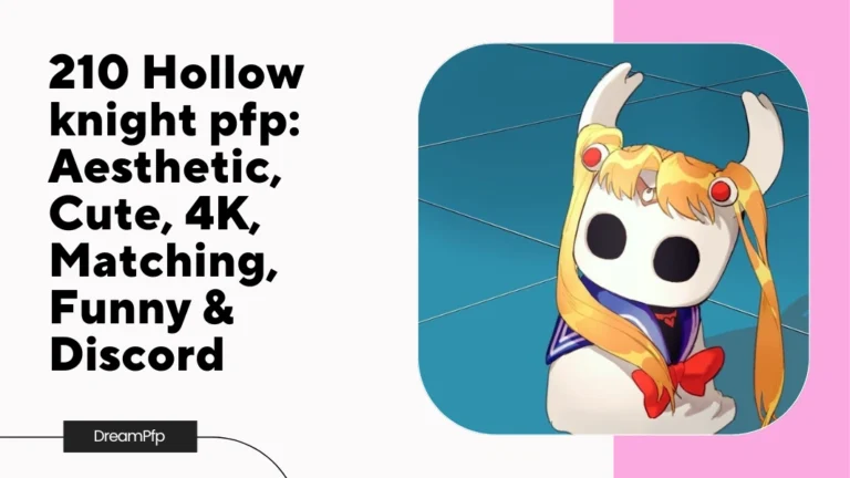 Hollow knight pfp