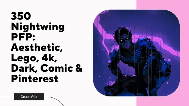 Nightwing PFP