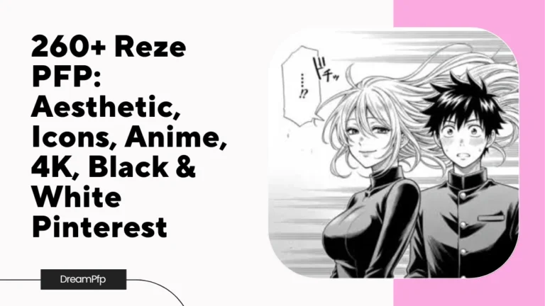 Reze PFP