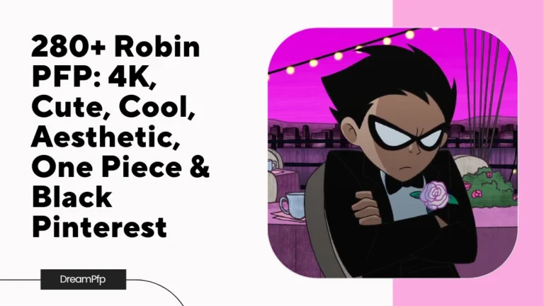 Robin PFP