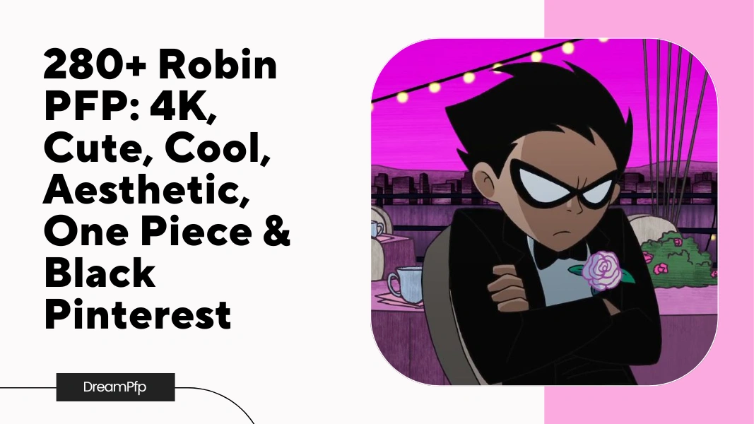 Robin PFP