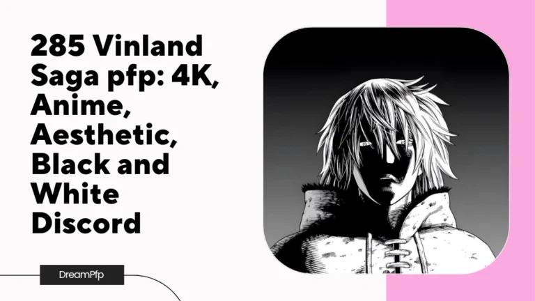 Vinland Saga pfp